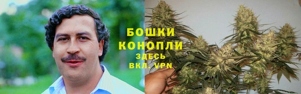 твердый Армянск