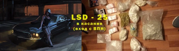 прущие грибы Алексеевка