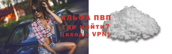 шишки Абинск