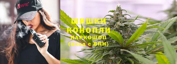шишки Алзамай