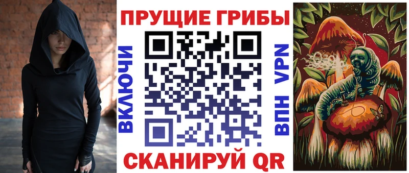 наркотики  Чишмы  Псилоцибиновые грибы Psilocybe 